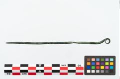 Foto von Bronzerollenkopfnadel (NHMW-PRAE-026321)